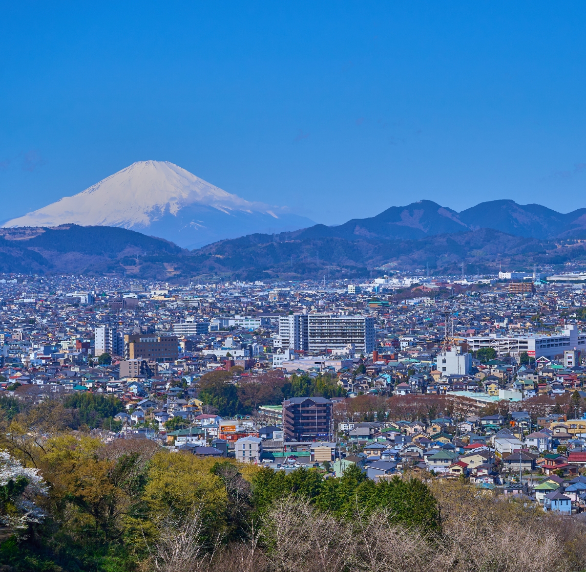神奈川県・秦野市